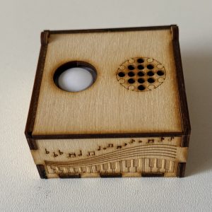 ინდივიდუალური მელოდიით ან სიმღერით