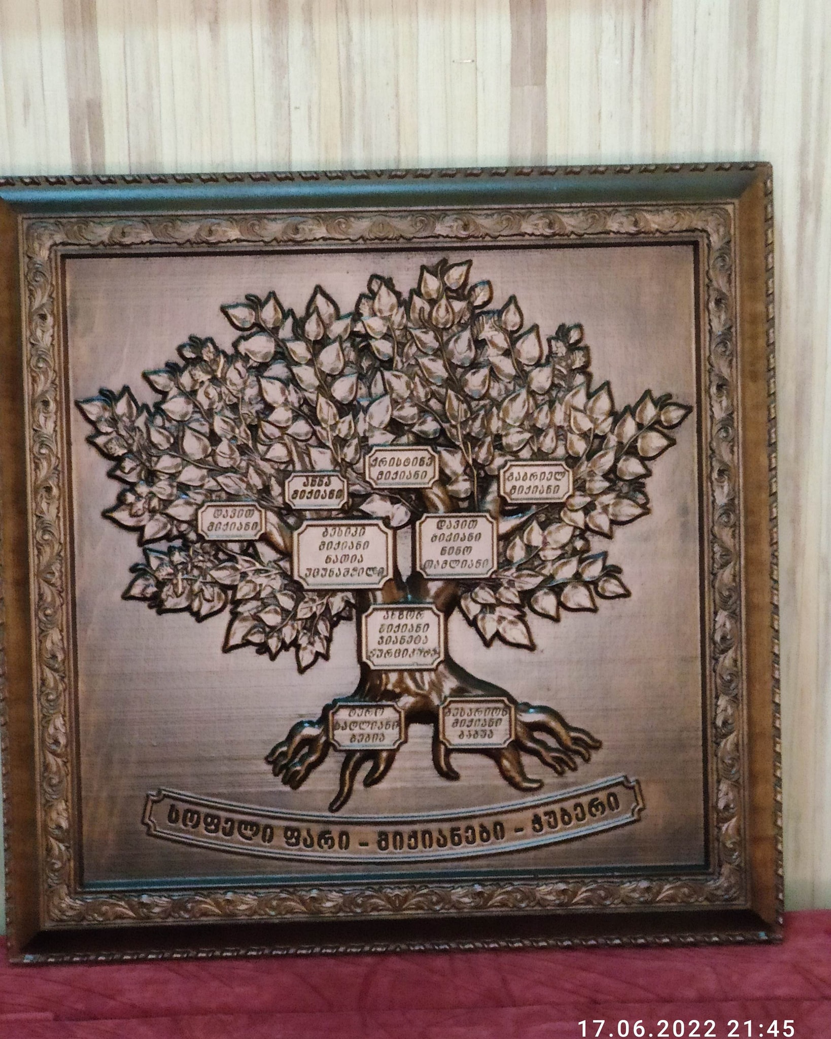 საგვარეულო ხე 5 საგვარეულო ხე - Image 3