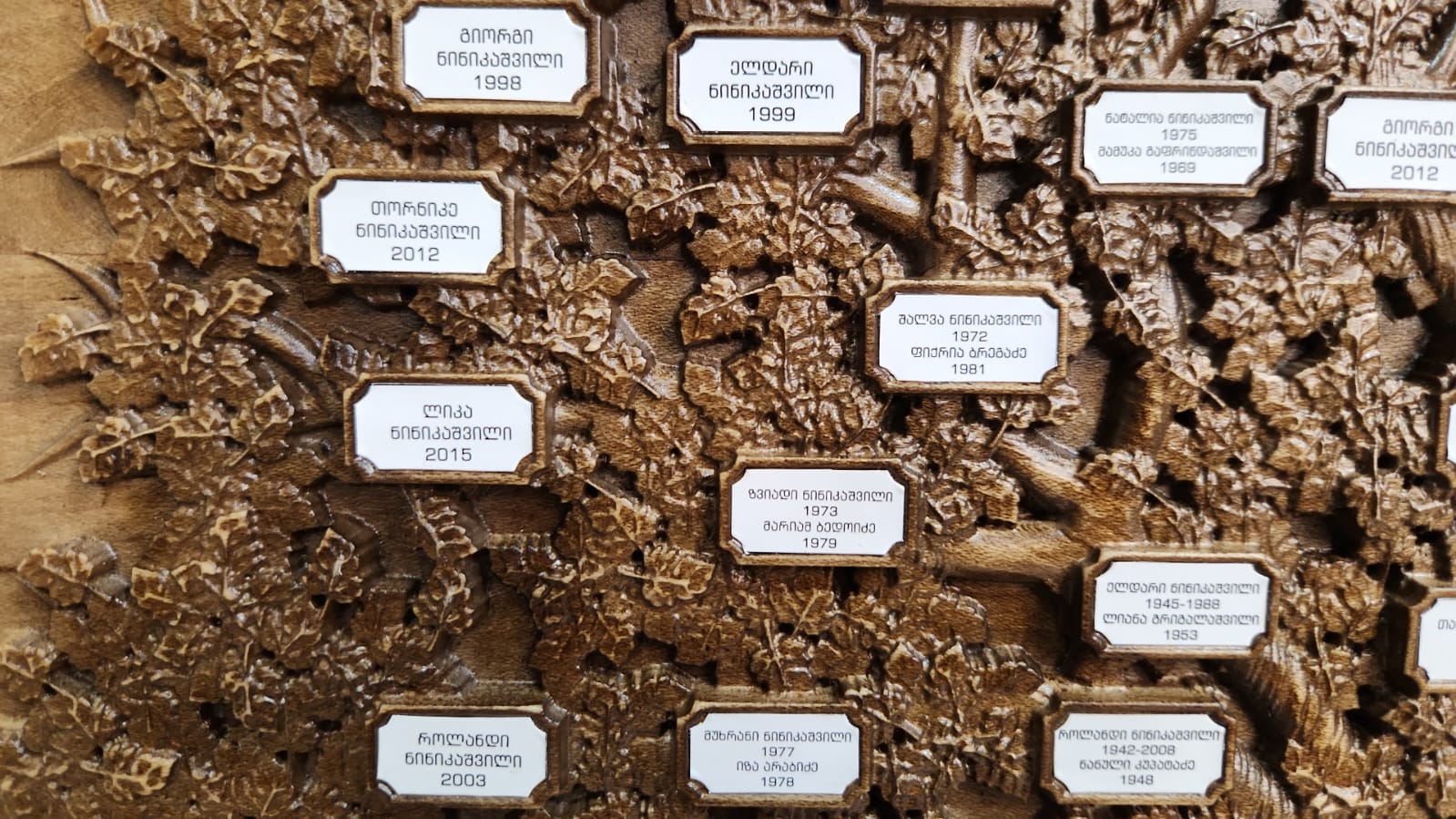 საგვარეულო ხე 3 საგვარეულო ხე - Image 2